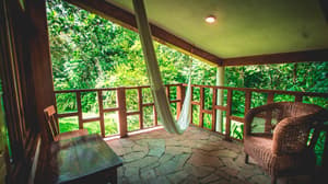 thumbnail: Terrace/patio