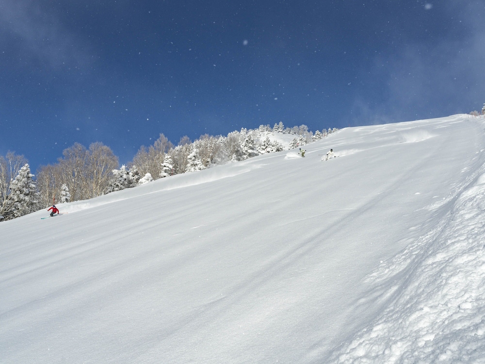 Skiing