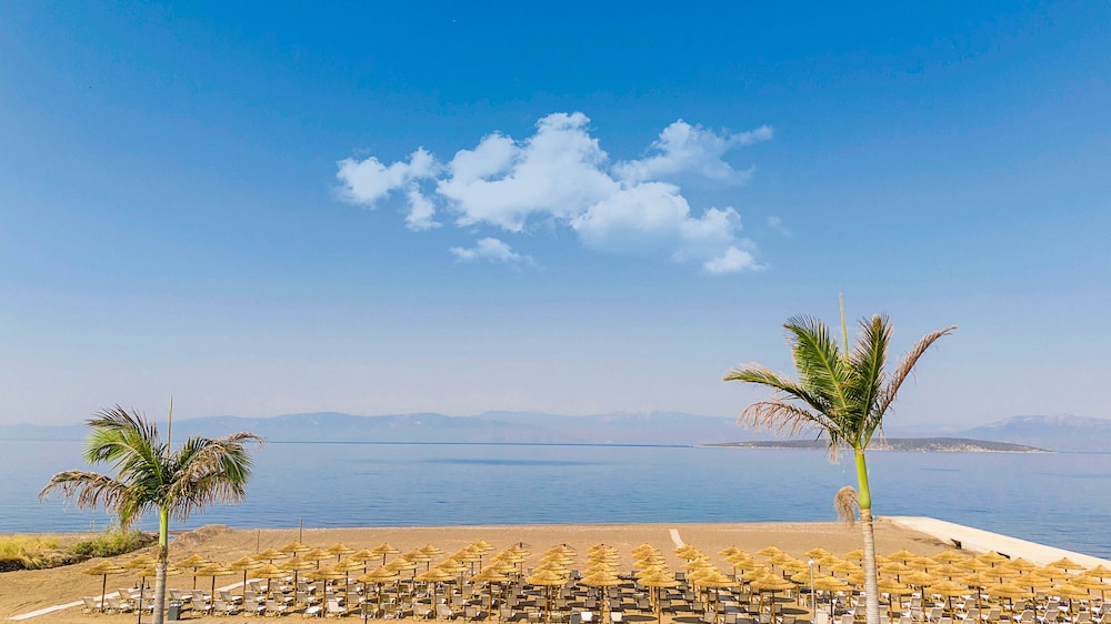Beach/ocean view