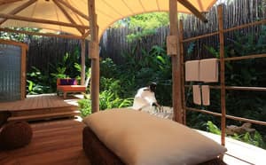 thumbnail: Beach Villa Suite With Spa
