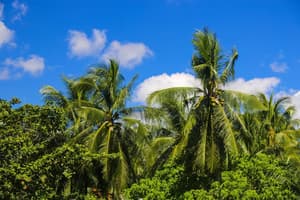 thumbnail: Property grounds
