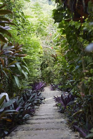 thumbnail: Garden