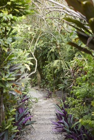 thumbnail: Garden