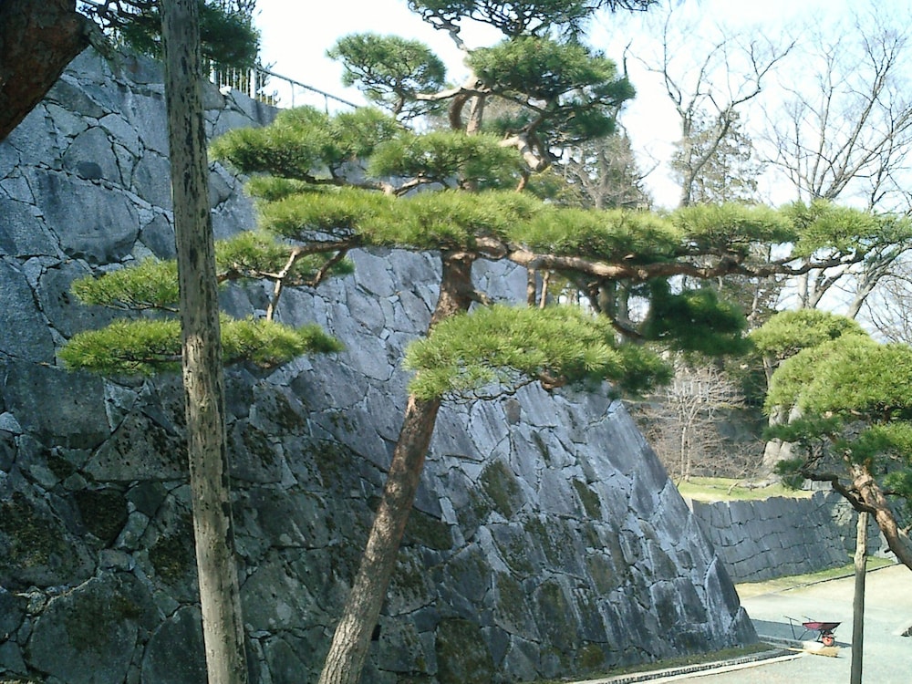 City view from property