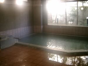 thumbnail: Indoor spa tub