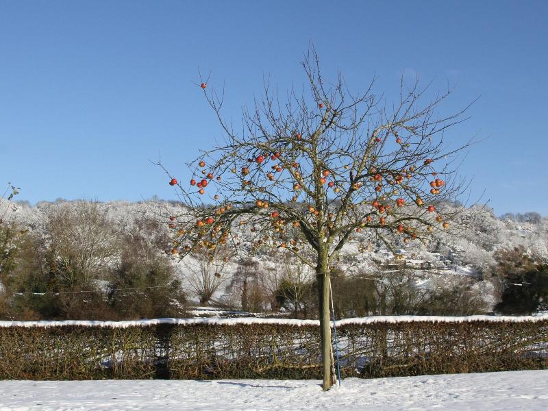 General view