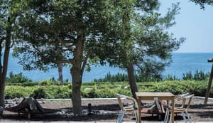 thumbnail: Outdoor banquet area