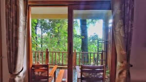 thumbnail: Garden view