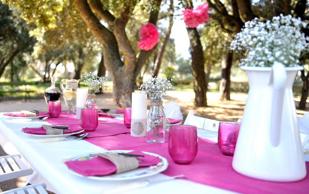 Outdoor wedding area