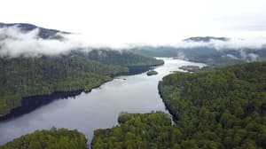 thumbnail: Aerial view