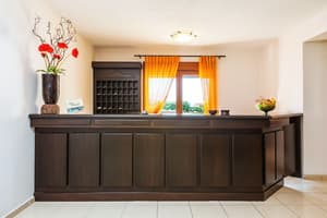thumbnail: Reception