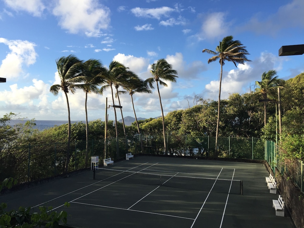 Tennis court