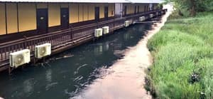 thumbnail: Water view