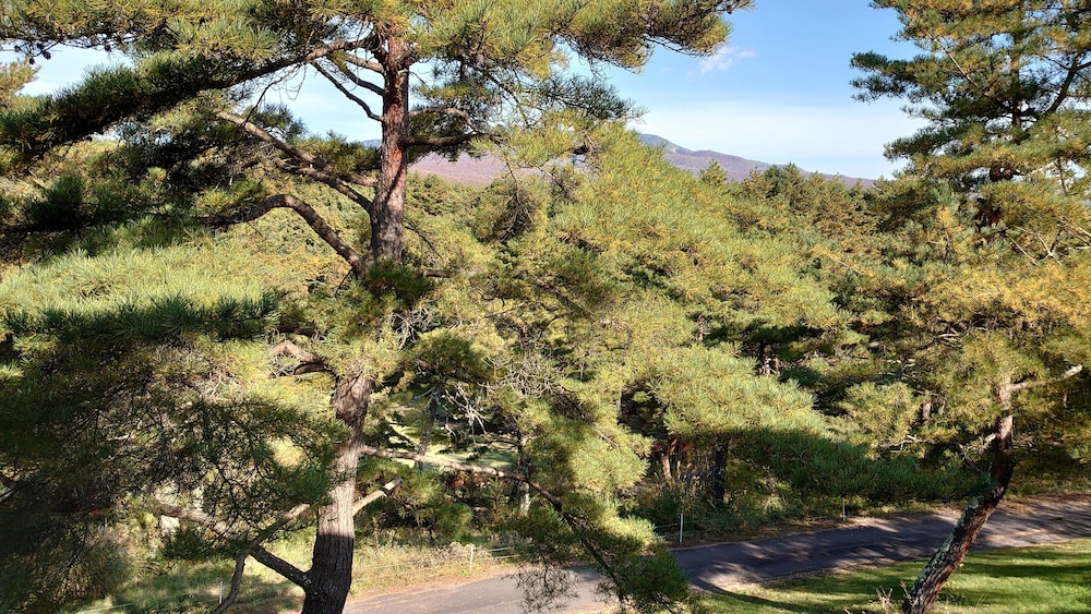 View from room