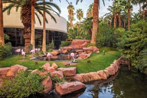 thumbnail: Garden