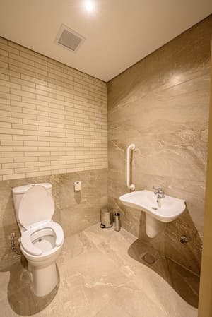 thumbnail: Raised toilet seat