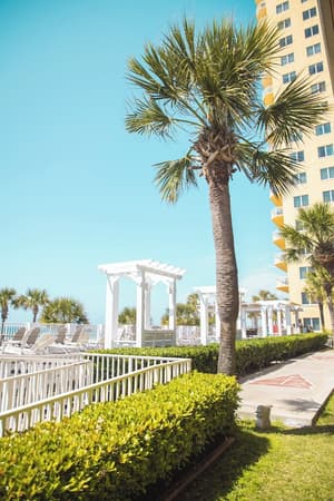 thumbnail: Terrace/patio