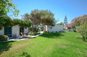 thumbnail: Garden