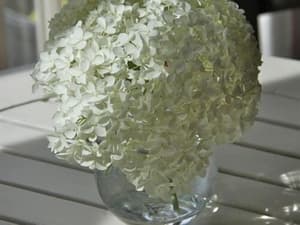 thumbnail: Miscellaneous