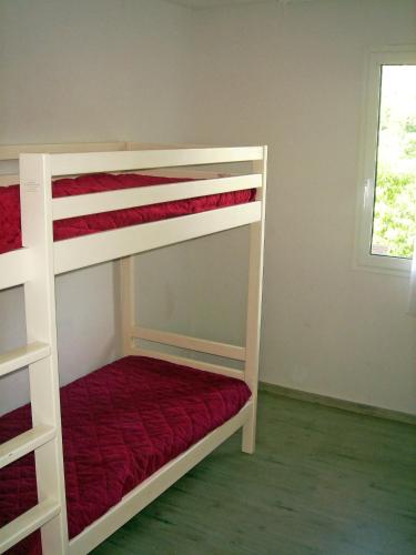 44083111.jpg