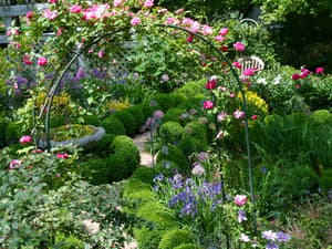 thumbnail: Garden