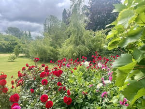 thumbnail: Garden