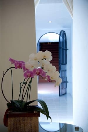 thumbnail: Interior