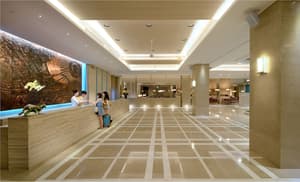 thumbnail: Reception
