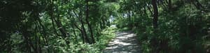 thumbnail: Garden