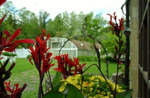 thumbnail: General view
