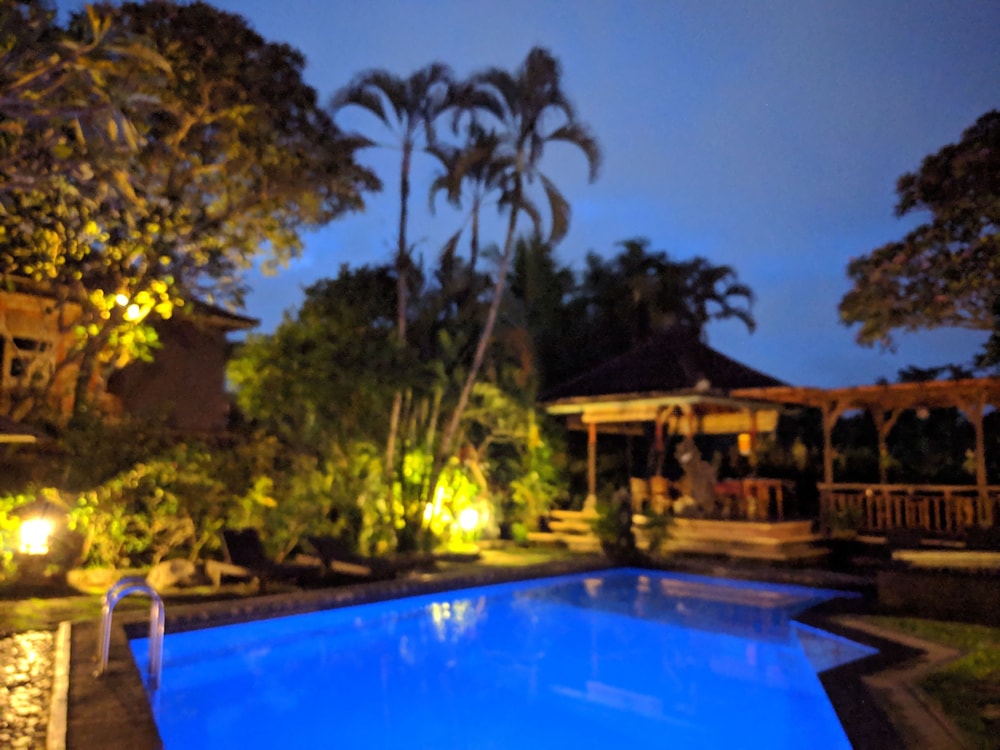 Garden view
