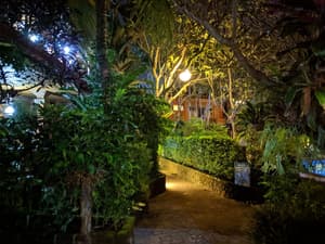 thumbnail: Garden
