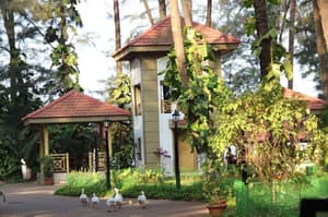 thumbnail: General view