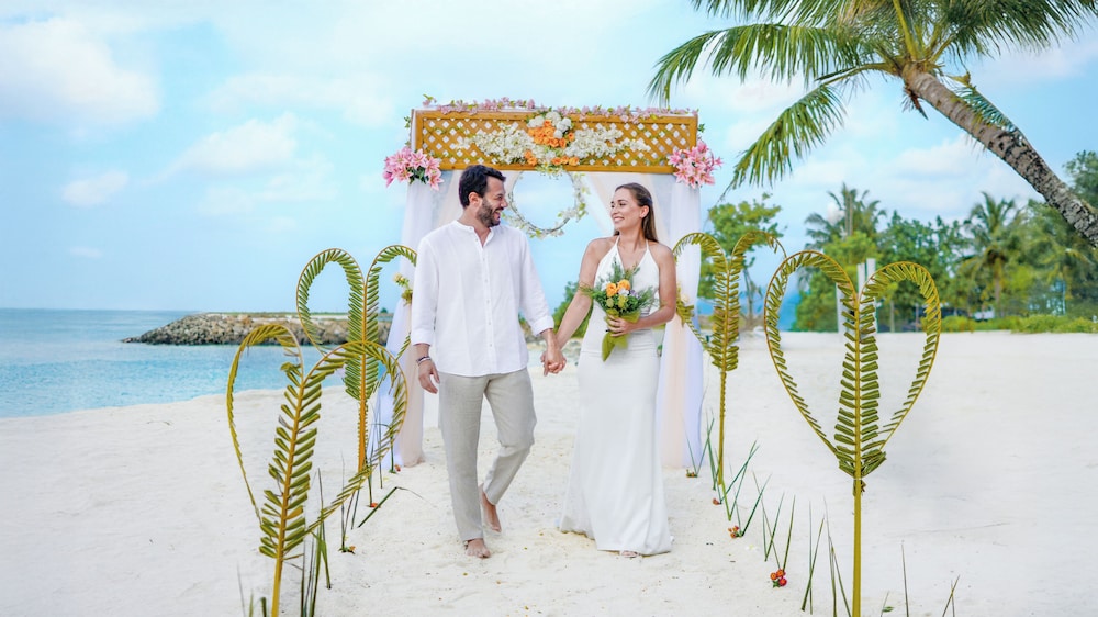 Outdoor wedding area