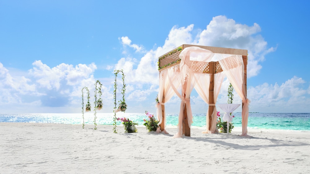Outdoor wedding area