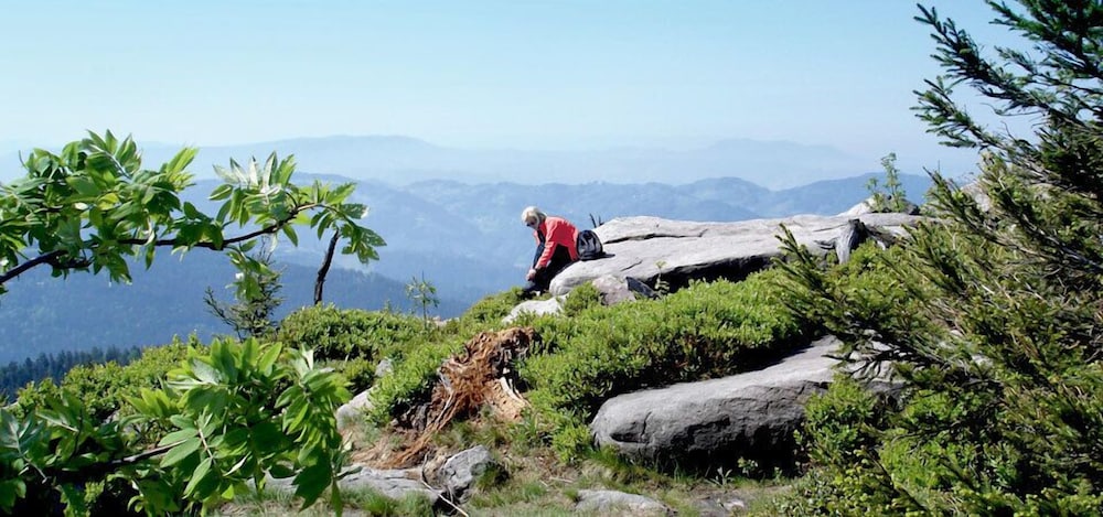 Hiking