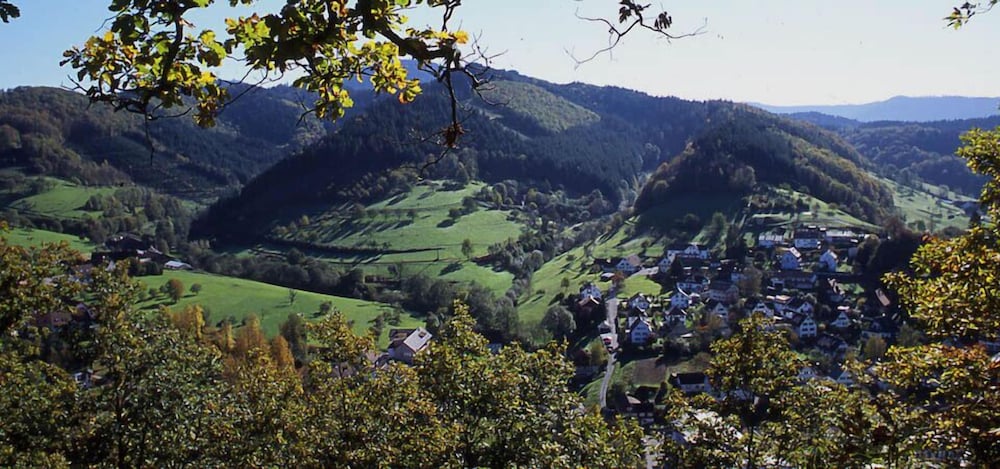 Mountain view