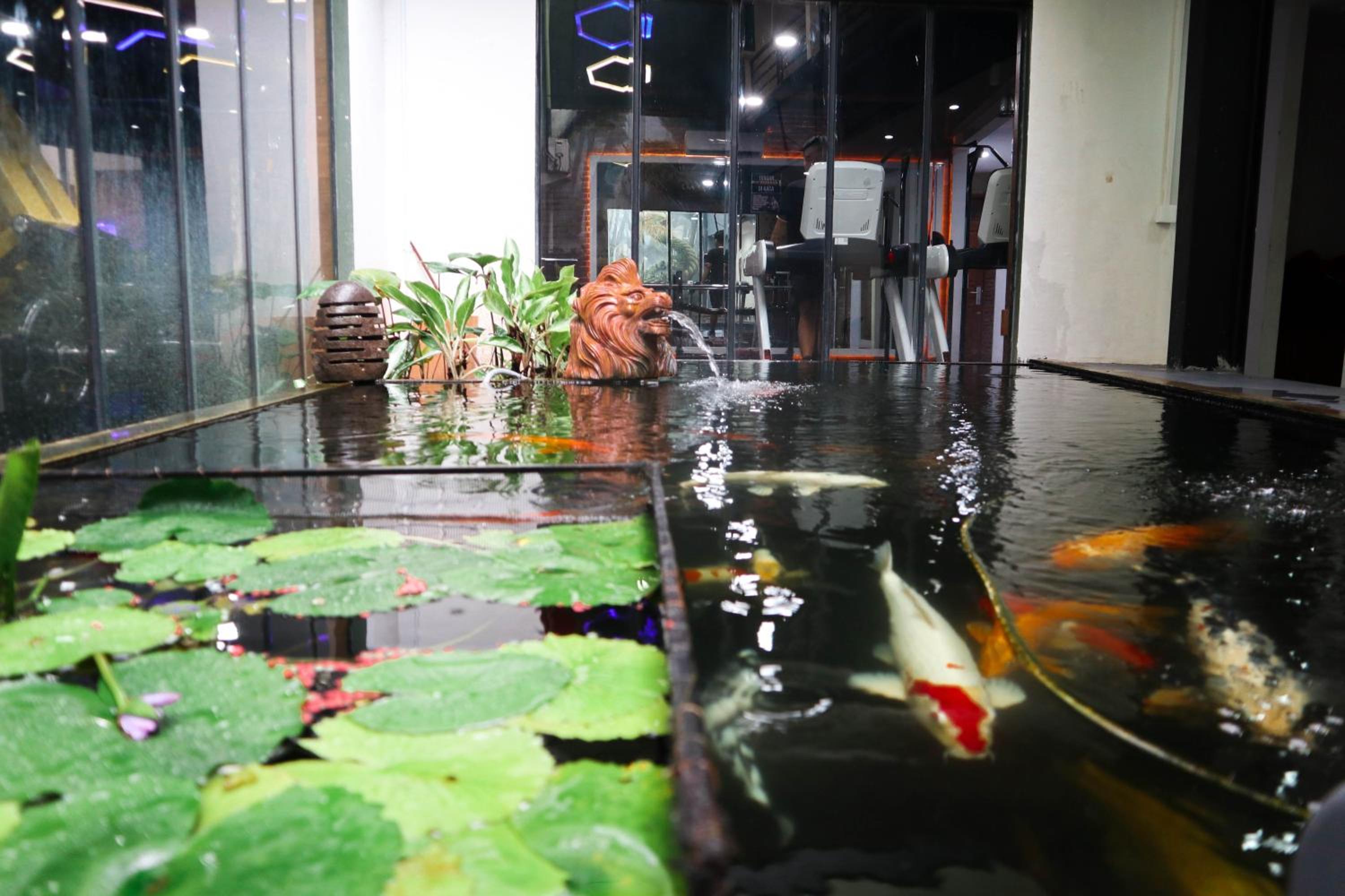 Restaurant-cafeteria