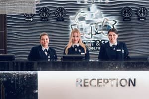 thumbnail: Reception