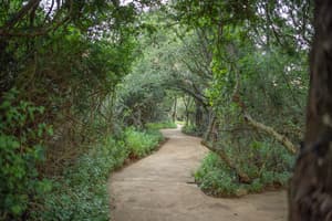 thumbnail: Garden