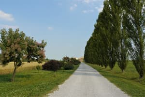 thumbnail: Garden