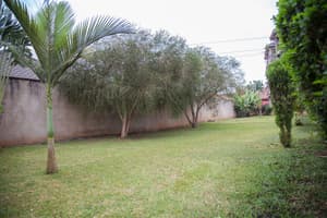 thumbnail: Garden