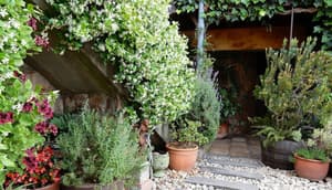 thumbnail: Garden