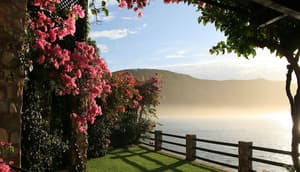 thumbnail: Garden