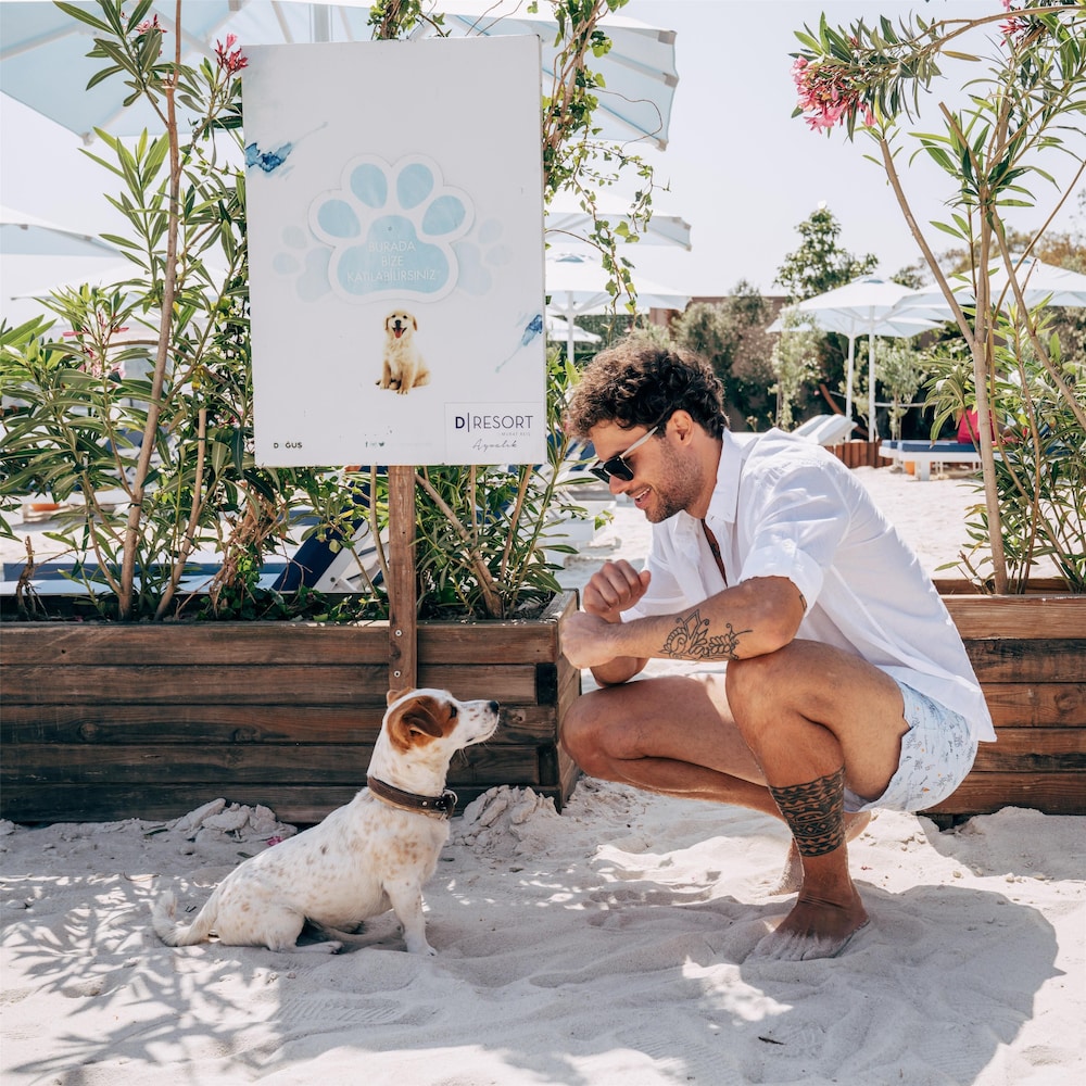Pet-friendly