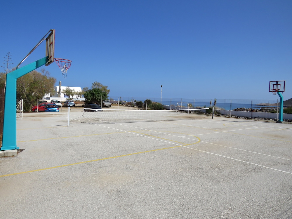 Basketball court