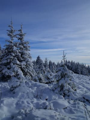 thumbnail: Hiking