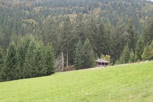 thumbnail: Mountain view