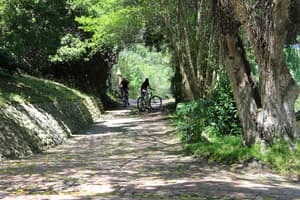 thumbnail: Bicycling
