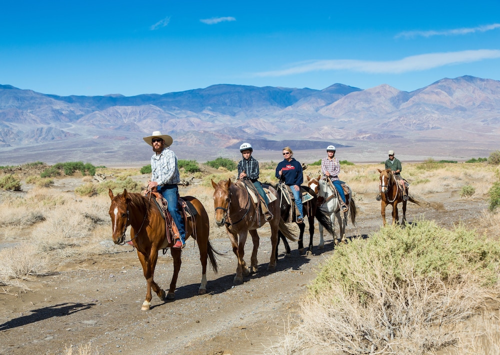 Horseback riding